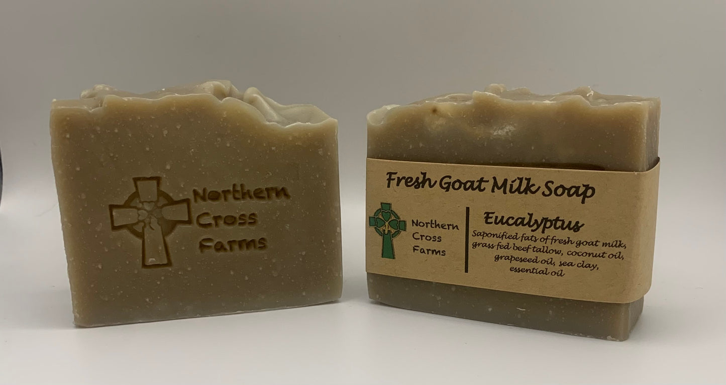 Eucalyptus Fresh Goat Milk Soap